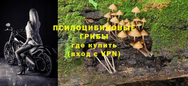 кристаллы Абаза